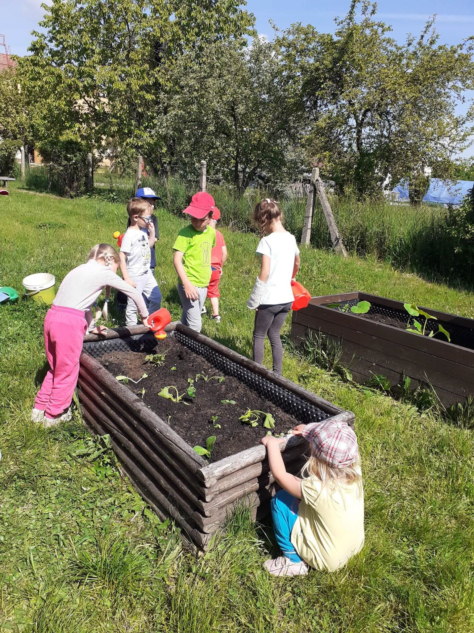 Péče o záhonky 2020