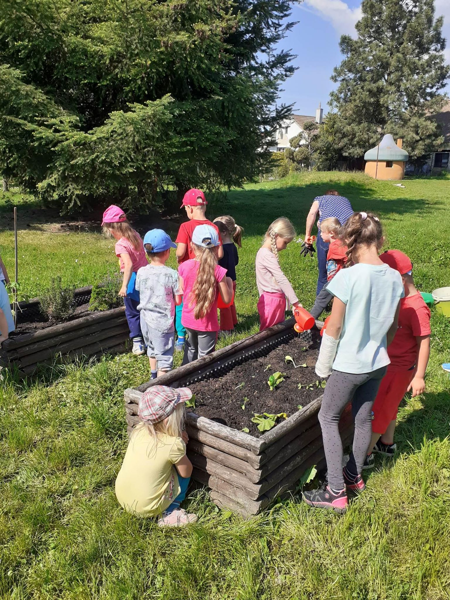 Péče o záhonky 2020