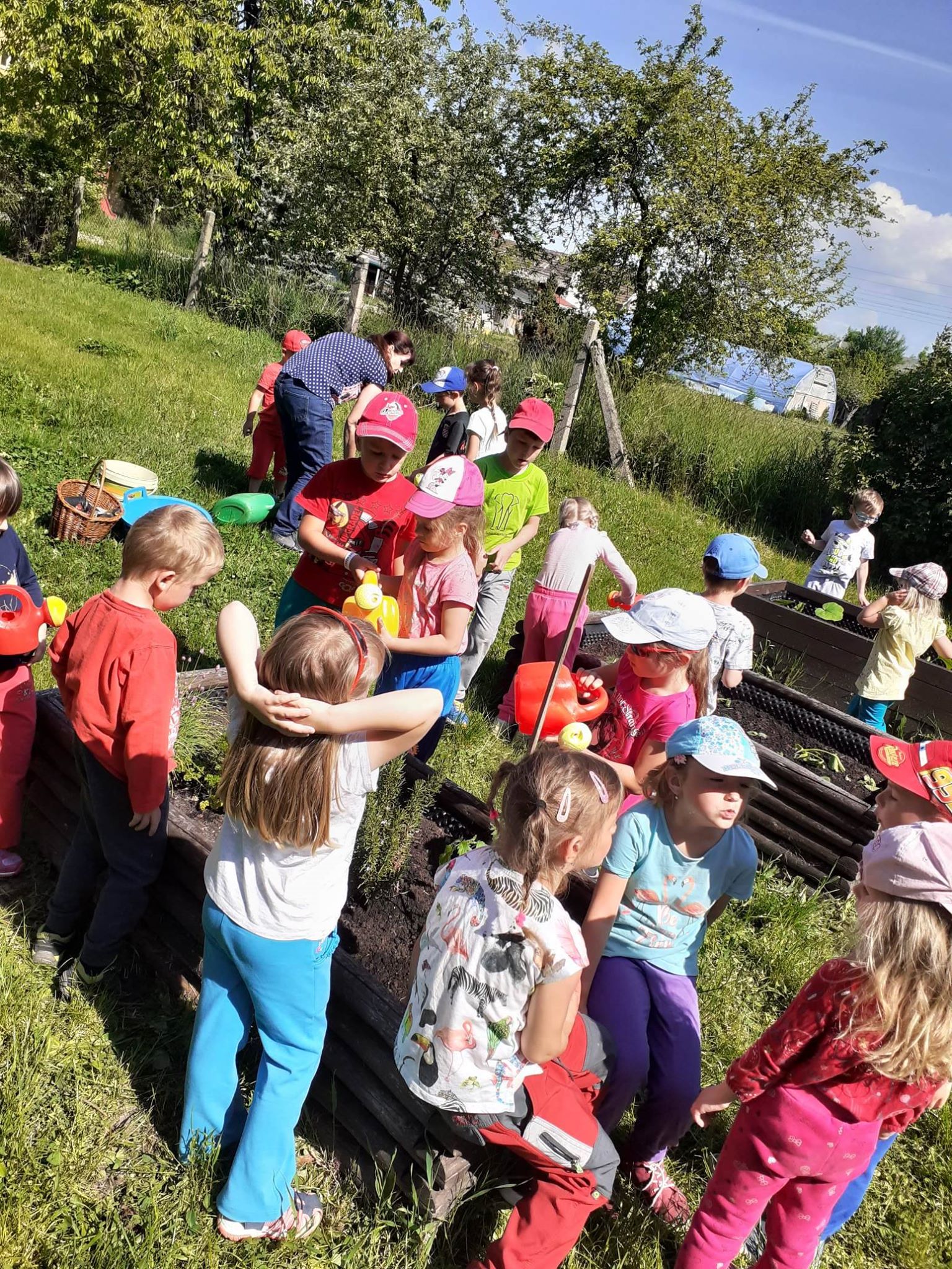 Péče o záhonky 2020