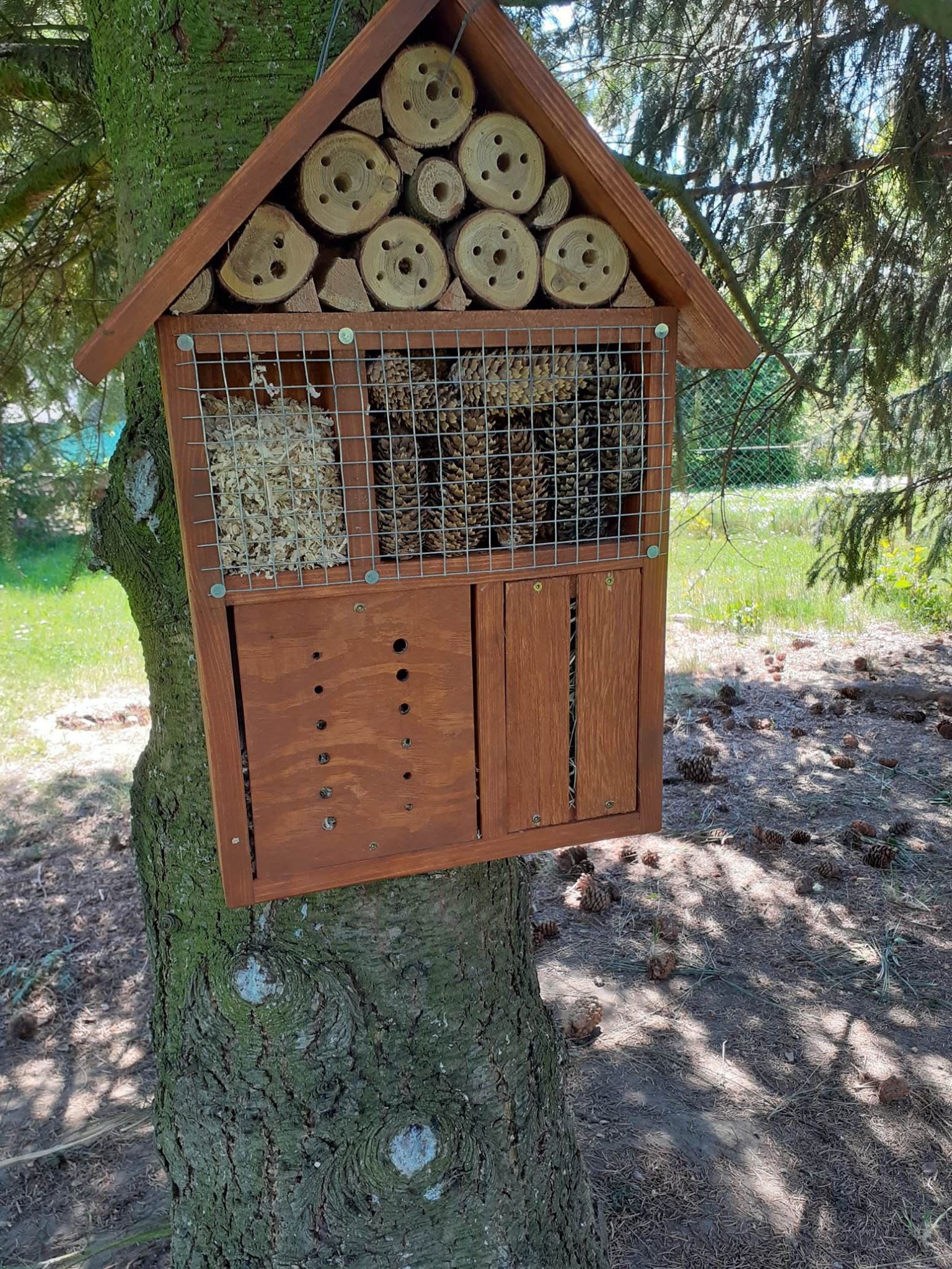 Péče o záhonky 2020